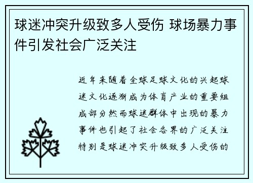 球迷冲突升级致多人受伤 球场暴力事件引发社会广泛关注